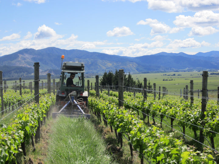 Organic Undervine Management